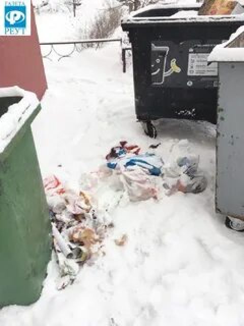 Почему в Петербурге не могут решить проблемы с вывозом мусора